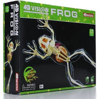 4D-Vision Full Skeleton Frog