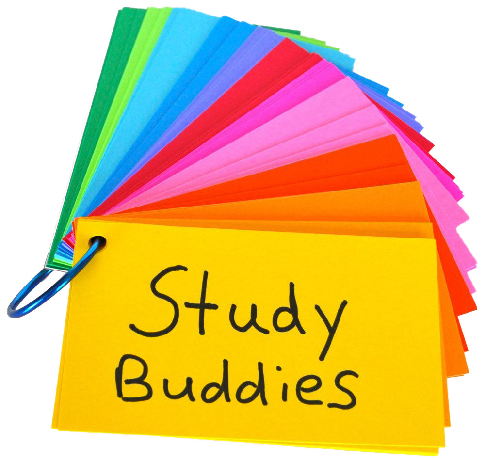 Study Buddies – Miller Pads & Paper