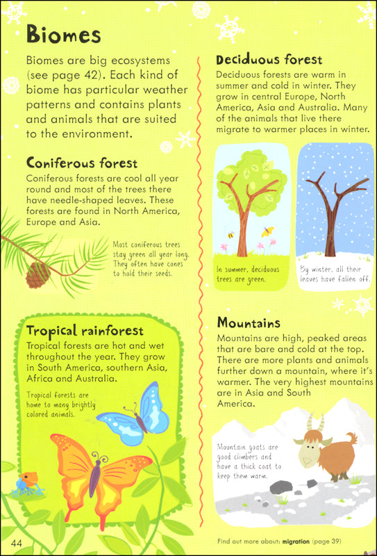 Illustrated Elementary Science Dictionary Miller Pads & Paper