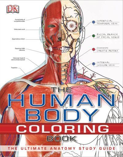 The Human Body Coloring Book