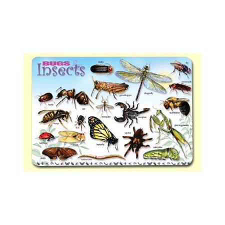 Learning Bugs & Insects Placemat
