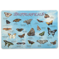 Learning Butterflies Placemat
