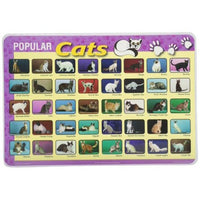 Learning Cats Placemat