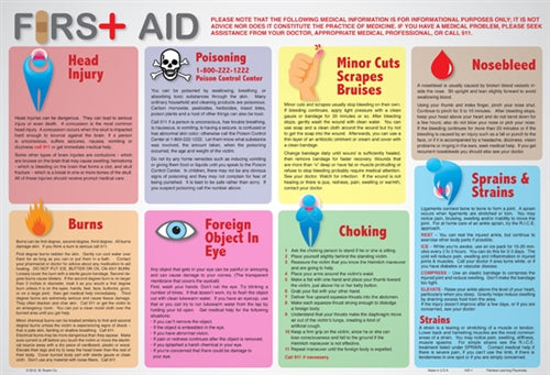 Learning First Aid Placemat