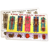 Learning Human Body Placemat