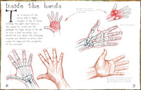 Hands and Feet (How to Draw)