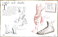 Hands and Feet (How to Draw)