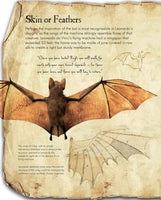 Leonardo da Vinci's Flying Machine Kit
