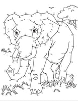 Wild Animals Dot-to-Dot Fun!: Count from 1 to 101 (Dover Kids Activity Books: Animals)