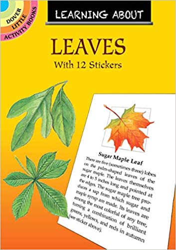 Learning About Leaves: With 12 Stickers (Dover Little Activity Books)