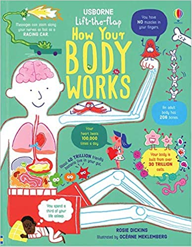 Lift-the-Flap : How Your Body Works