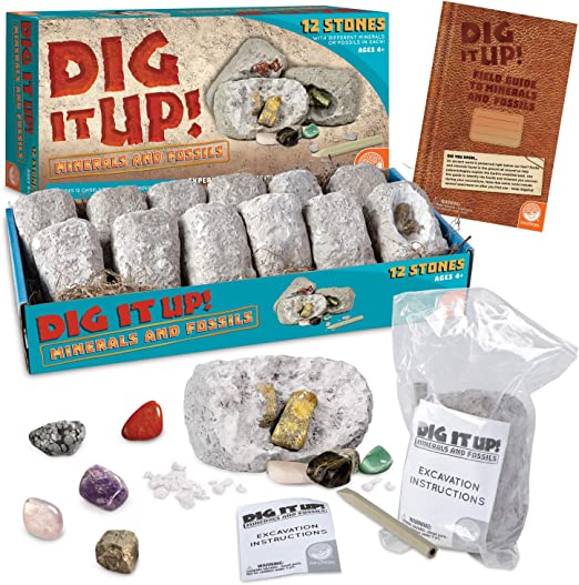 Dig It Up! Fossils Minerals – Miller Pads Paper - Main Image