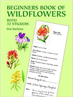 Beginners Book of Wildflowers