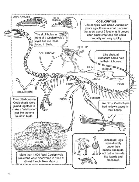 My First Book about Physics (Dover Science for Kids Coloring Books)