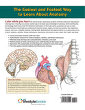 Complete Anatomy Coloring Book: Newly Revised and Updated Edition (IMM Lifestyle Books)