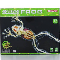 4D-Vision Full Skeleton Frog
