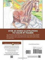 Horses Color by Number