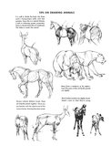 The Art of Animal Drawing: Construction, Action Analysis, Caricature
