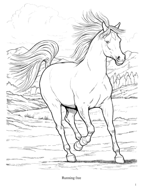 Wonderful World of Horses Coloring Book – Miller Pads & Paper