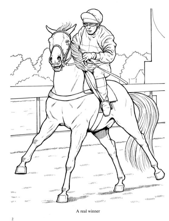 Wonderful World of Horses Coloring Book Miller Pads & Paper