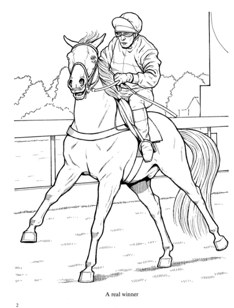 Wonderful World of Horses Coloring Book – Miller Pads & Paper