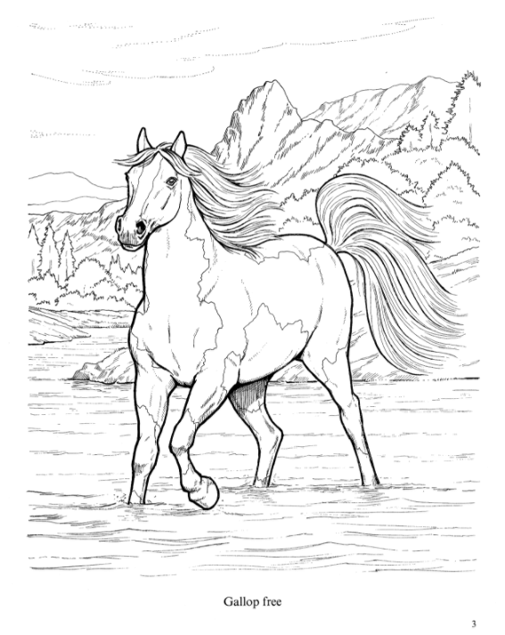 Wonderful World of Horses Coloring Book – Miller Pads & Paper