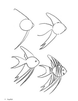 How to Draw Aquarium Animals