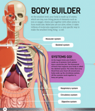 How Your Body Works: The Ultimate Illustrated Guide