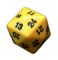 24 Sided Die