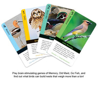 Wild Cards: North American Birds