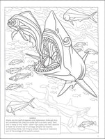 Let's Explore! Sharks Sticker Coloring Book