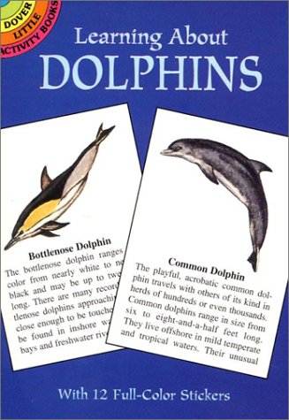 Learning About Dolphins (Mini Dover)