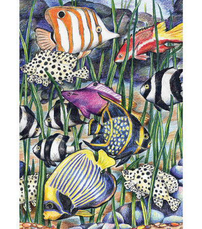 Mini Colour Pencil by Numbers - Sea Life