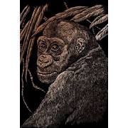 Copper Engraving Art-Ape