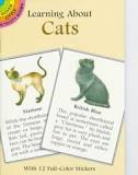 Learning About Cats