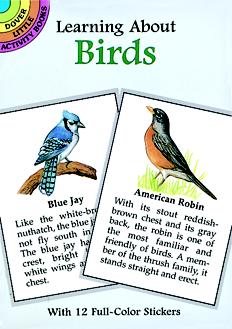Learning About Birds