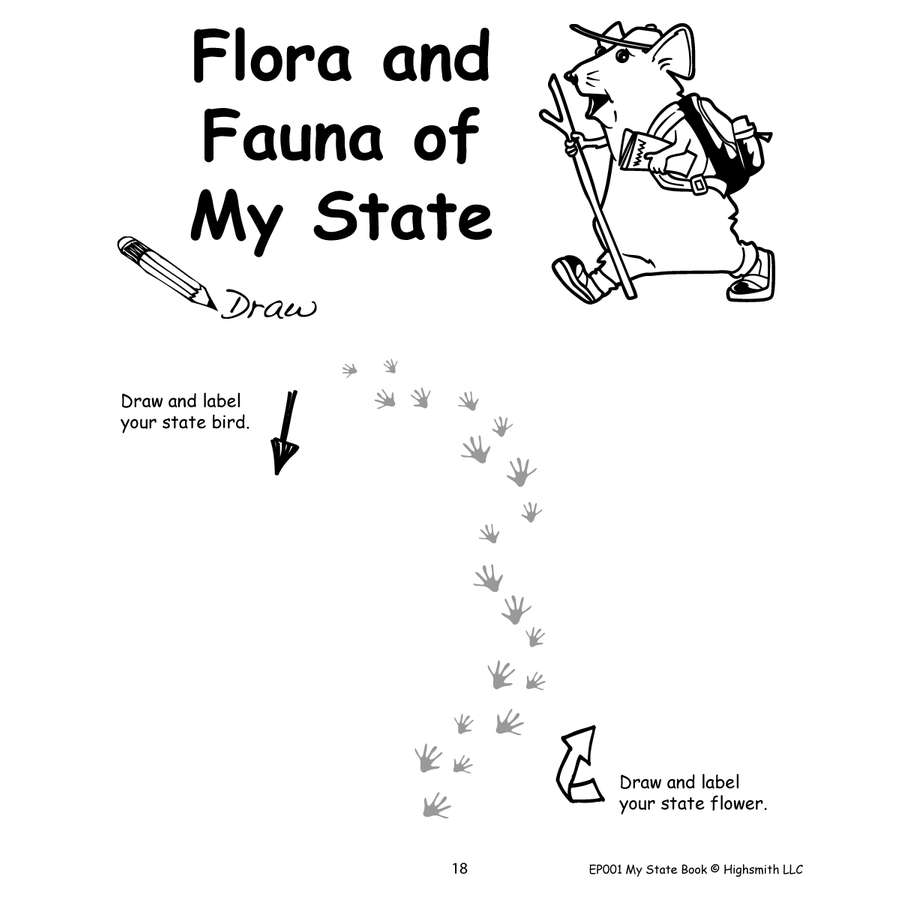 My State Book – Miller Pads & Paper