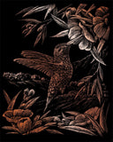 Engraving Art - Hummingbird (Copper)