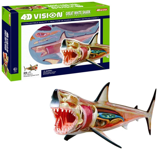 4D Vision: Great White Shark Anatomy Model