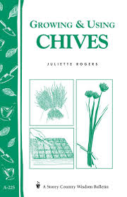 Growing & Using Chives