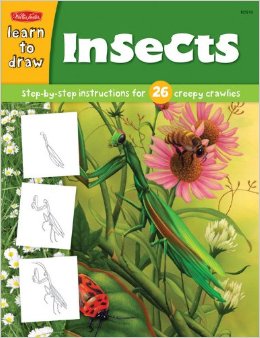 Learn To Draw: Insects