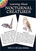Learning About Nocturnal Creatures