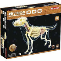 3D Full Skeleton Dog Anatomy Model