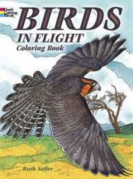 Birds in Flight Coloring Book – Miller Pads & Paper
