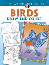 Birds Draw and Color