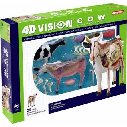 4D Cow Anatomy Model