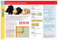Multiplication and Division Flashchart