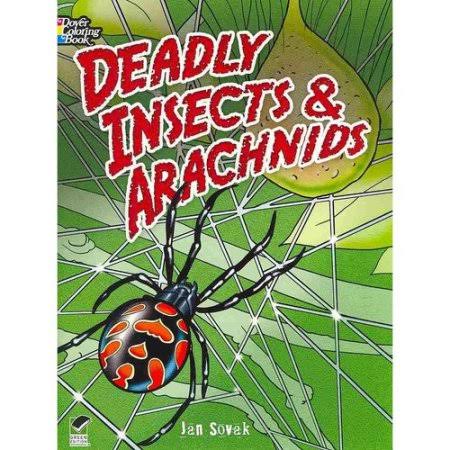 Deadly Insects & Arachnids