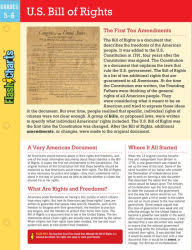 US Bill of Rights Flashchart