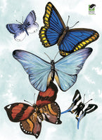 Butterfly Notebook (Mini Dover)